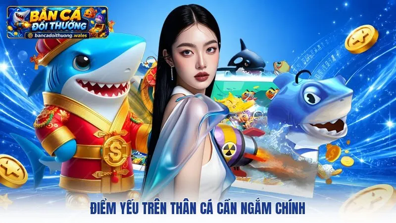 Điểm yếu trên thân cá cần ngắm chính
